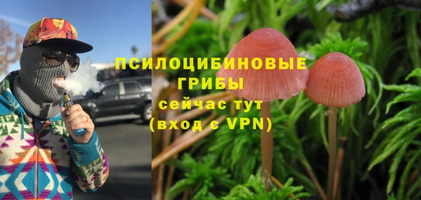 твердый Белоозёрский